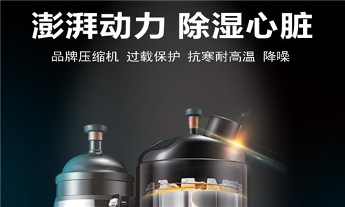 造紙車間除潮機_造紙庫房除潮機_工業(yè)除潮機品牌價